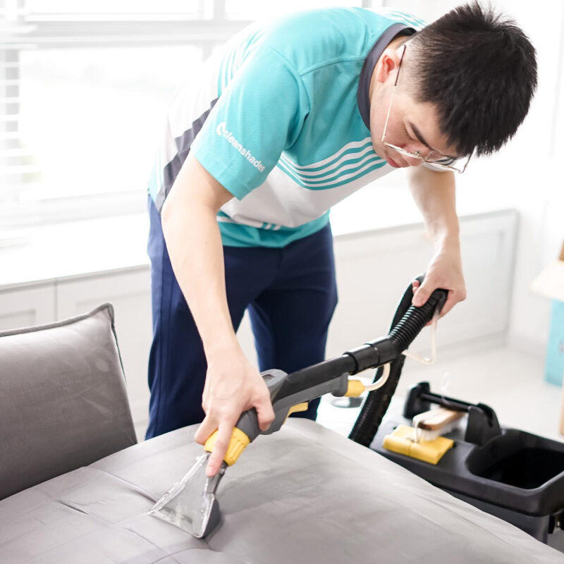 sofa cleaning