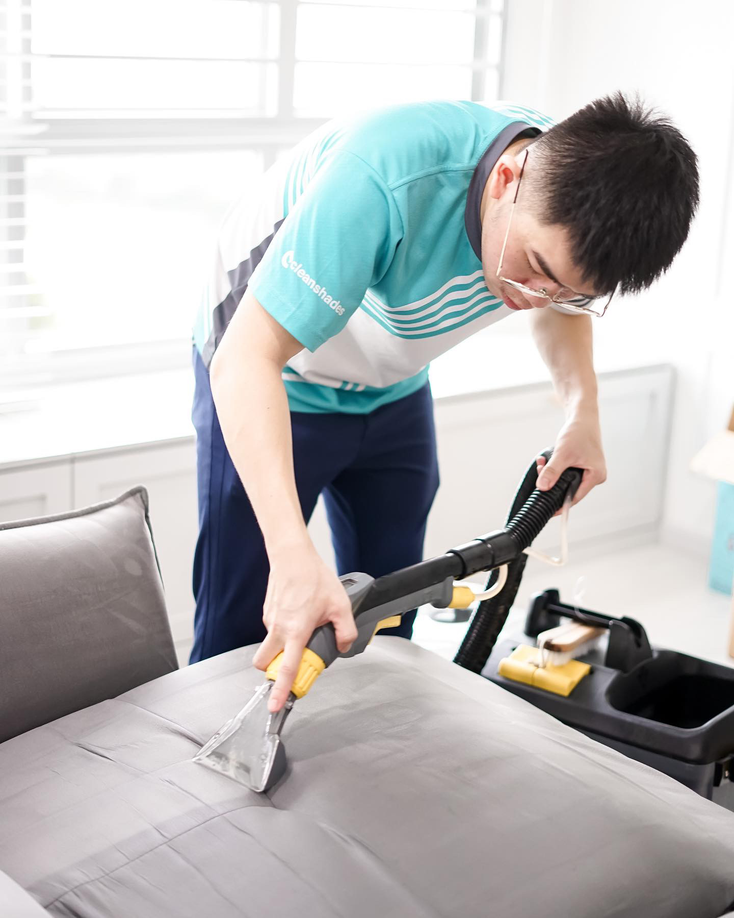 sofa cleaning