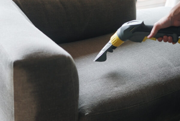 sofa deep cleaning