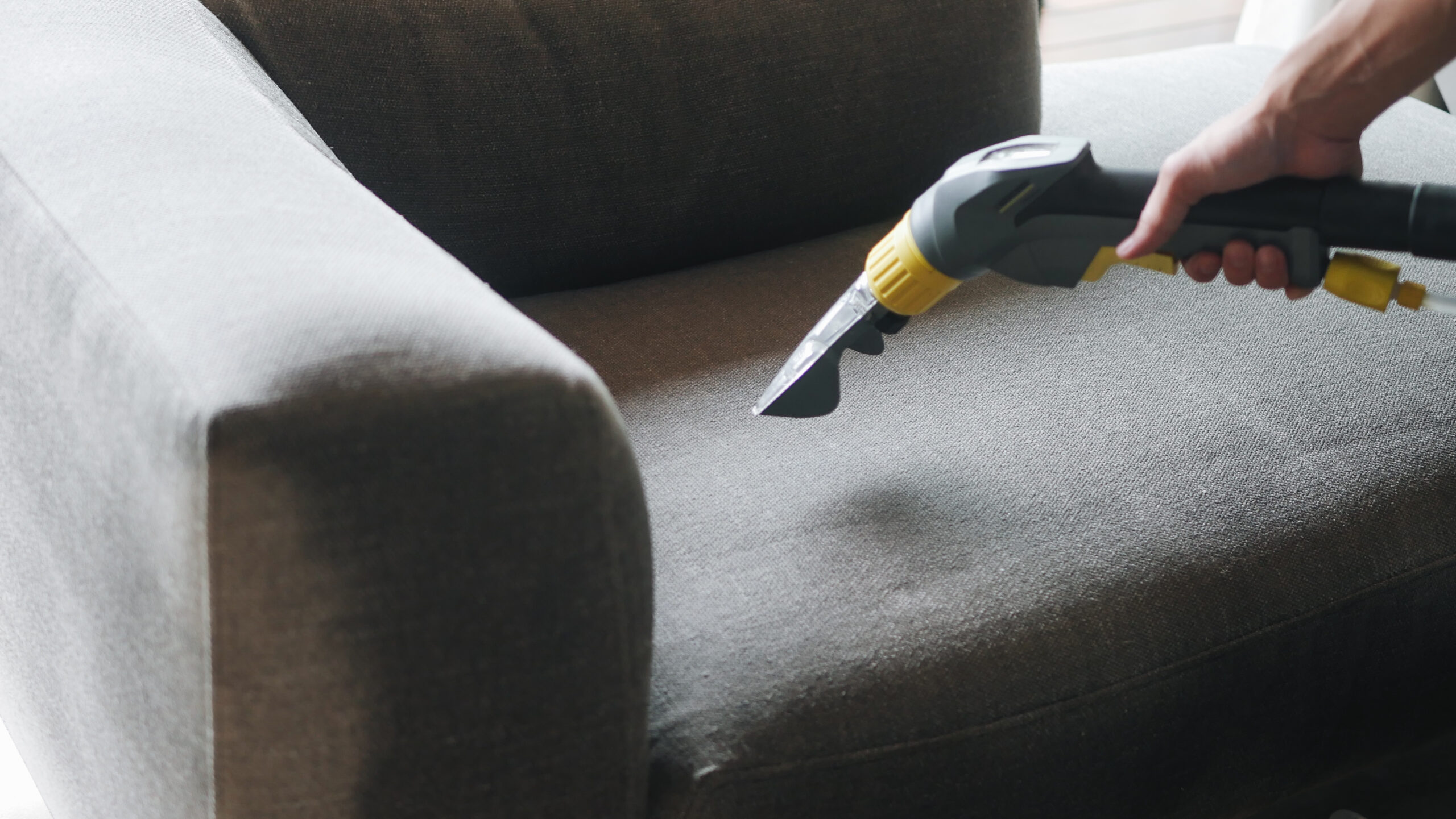 sofa deep cleaning